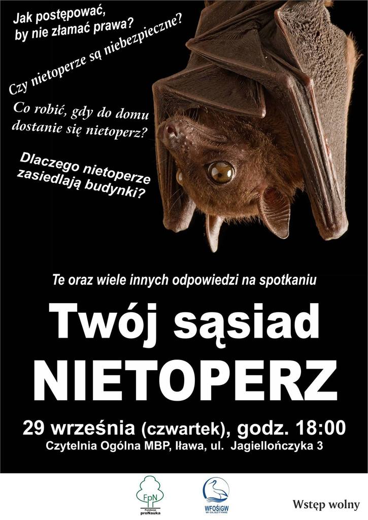 nietoperz.jpg